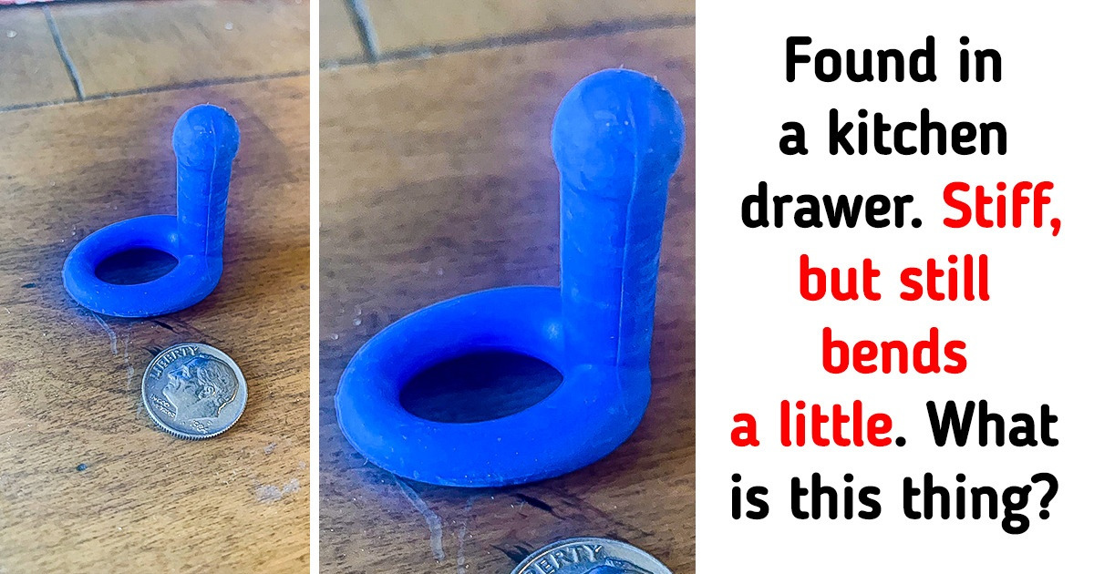 15 People Discovered Unusual Things, and the Internet Helped Identify Them