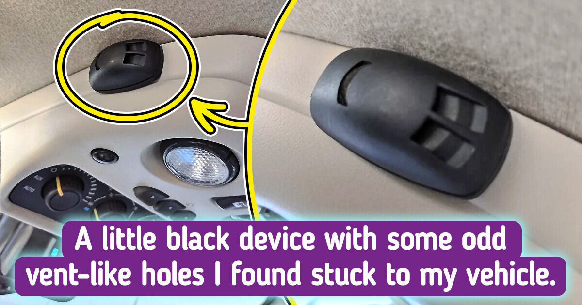12 Mysterious Items That Were Easily Cracked by Web Detectives