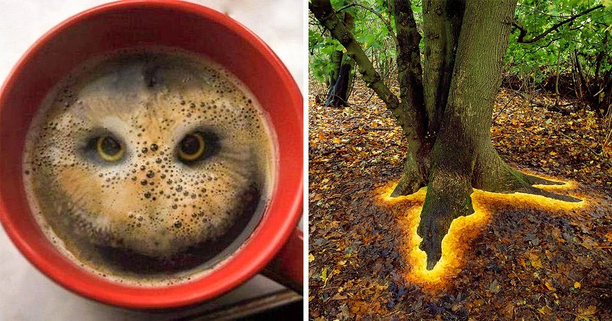 Photos That Easily Put Photoshop to Shame