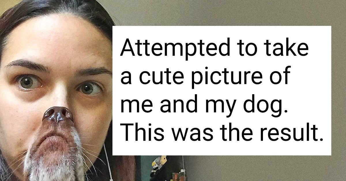 20+ Pictures Showing That Pets Can Completely Change Your Life