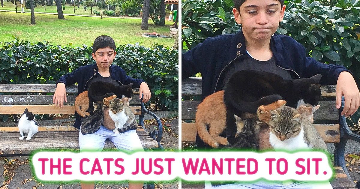 19 Pictures That Will Brighten Any Gloomy Day 19 Pictures That Will Brighten Any Gloomy Day