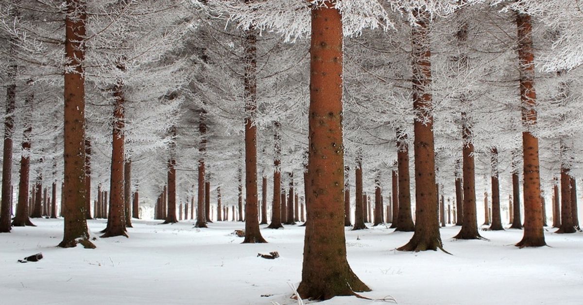 16 photos which prove beyond all doubt that winter is staggeringly beautiful