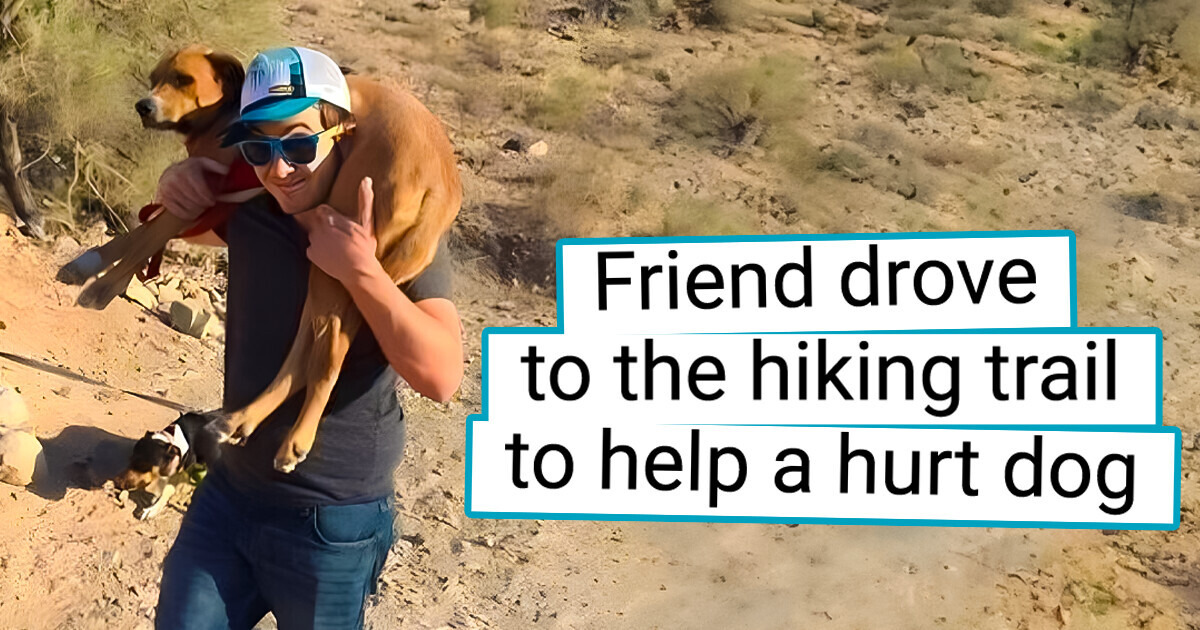 10+ Photos That Will Melt Even the Toughest Hearts With Their Stories