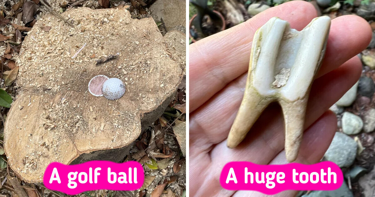 19 Things That Can Disrupt the Routine of an Ordinary Day