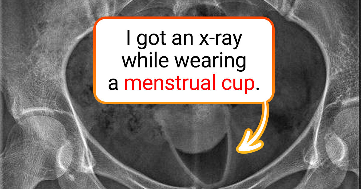 15 Hilarious and Mildly Intriguing Moments Shared by People This Week 15 Hilarious and Mildly Intriguing Moments Shared by People This Week