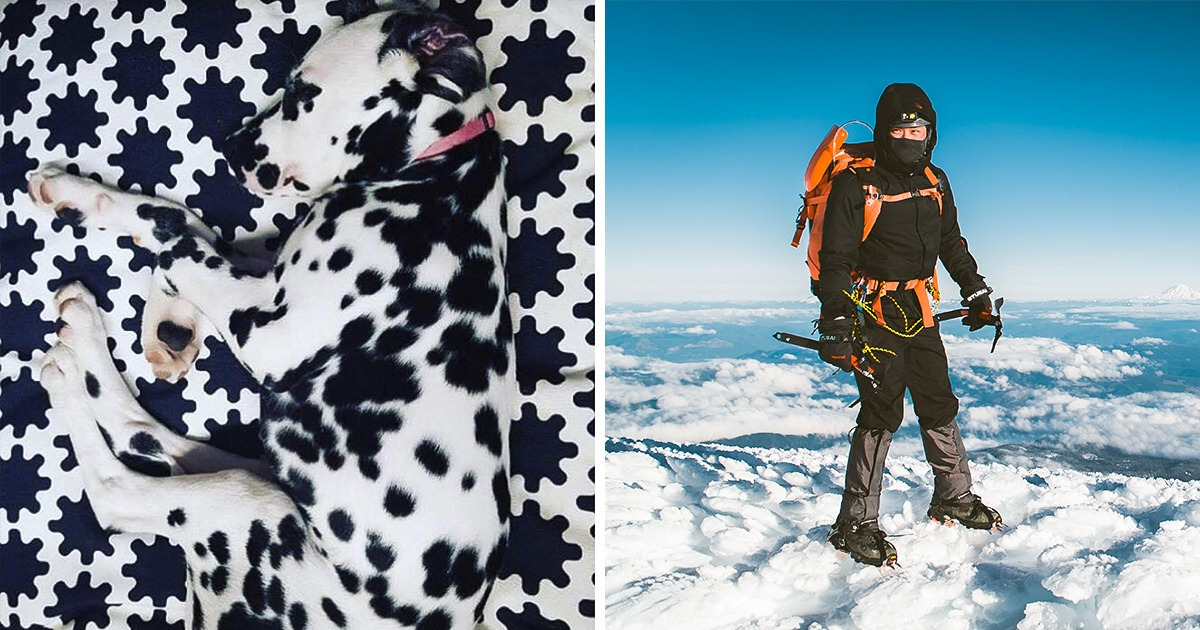 15+ Pics That Made Us Second-Guess Our Perception