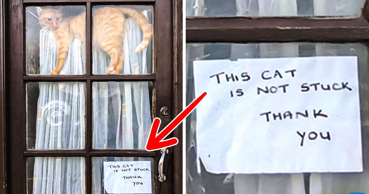 18 Surreal Signs That Won’t Leave Your Mind Once Seen
