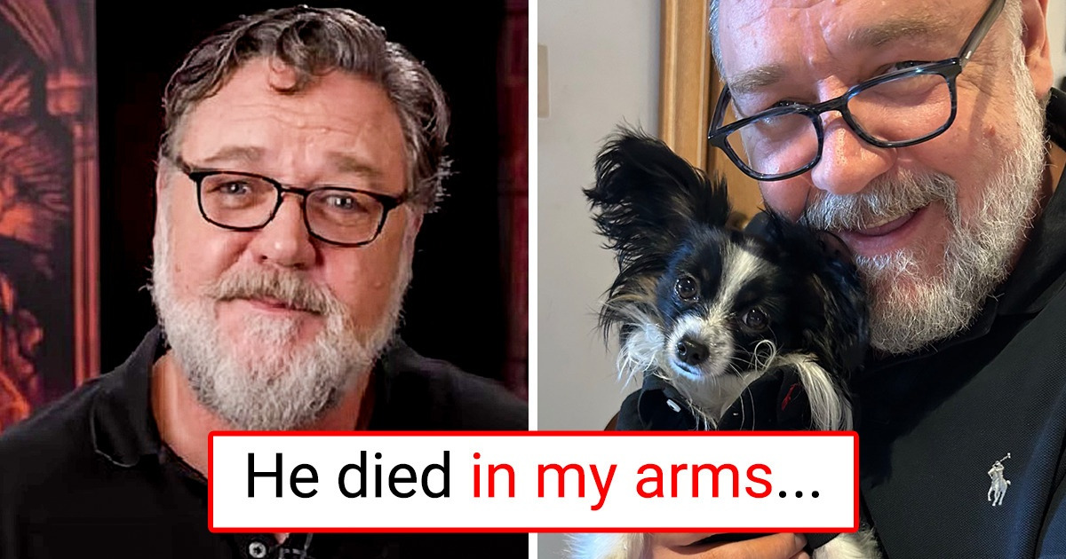 Russel Crowe Breaks Down as He Reveals the Tragic Way He Lost His Puppy Russel Crowe Breaks Down as He Reveals the Tragic Way He Lost His Puppy
