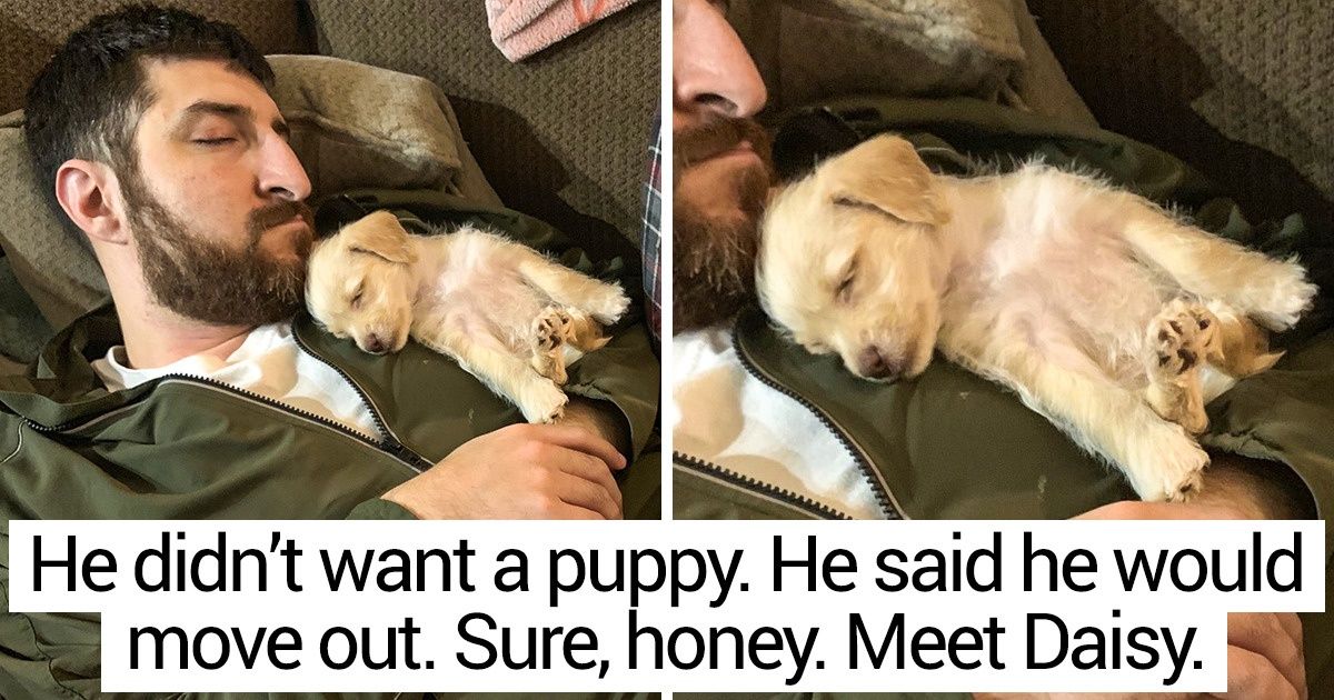 20 Photos That Show You Can Find Love in the Most Unexpected Way