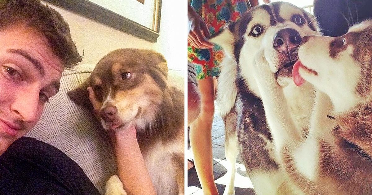 20 Pets That Radiate the Valentine’s Day Spirit