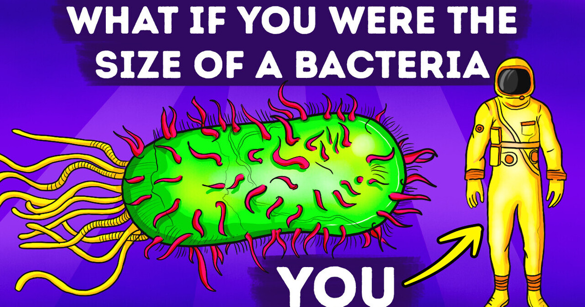What If You Shrunk to Bacteria Size Suddenly