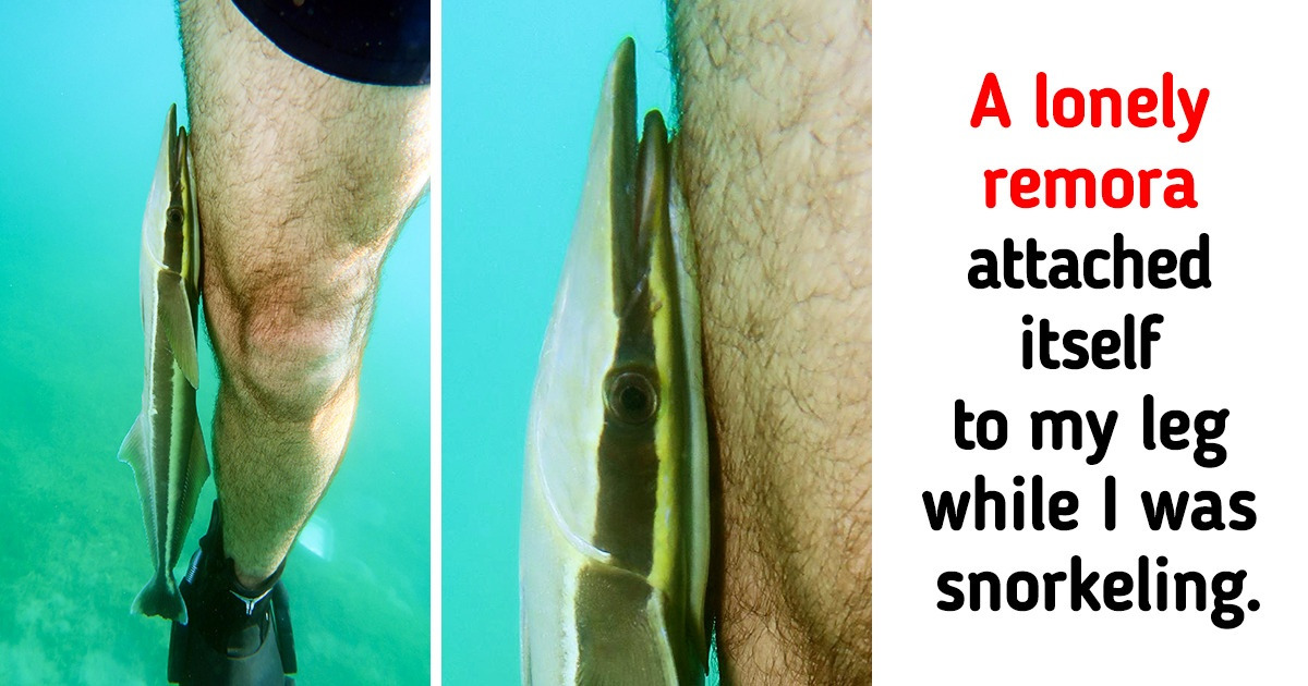 15+ People Who Stumbled Across Remarkable Things