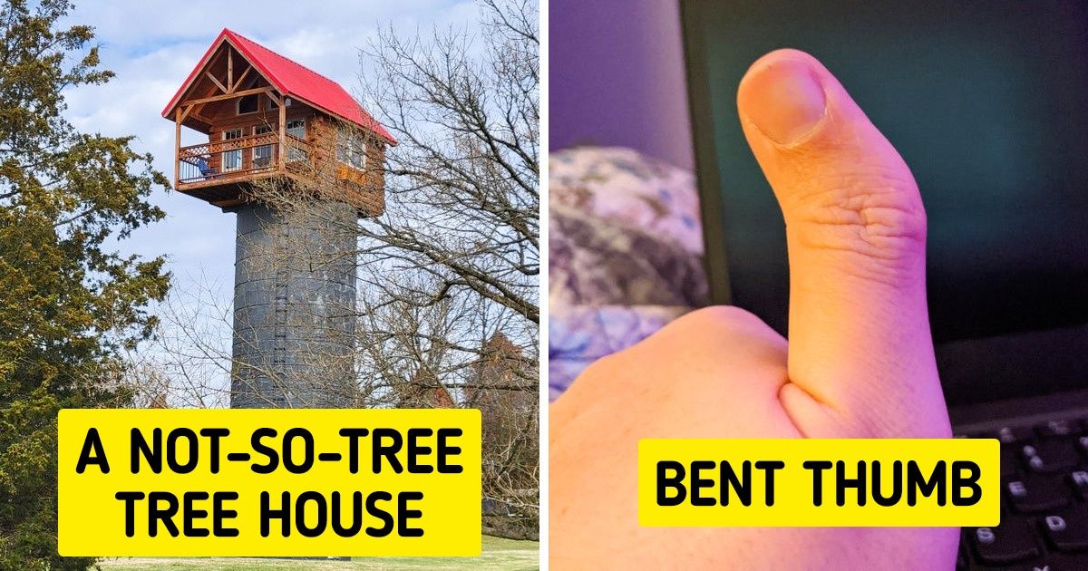 19 People Who Didn’t Expect a Tricky Surprise From the Universe