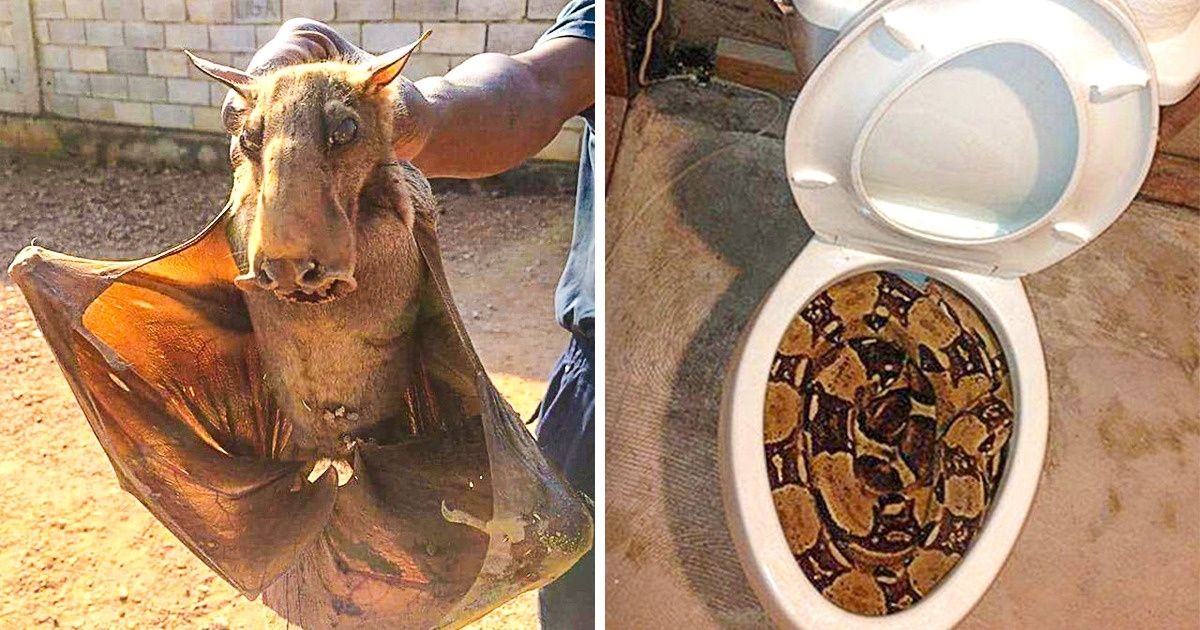 24 Nightmarish Sights You Can Find Behind a “Danger” Sign 24 Nightmarish Sights You Can Find Behind a “Danger” Sign