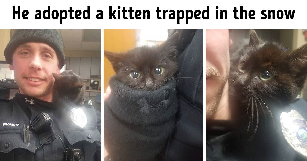 13 People Helped Others to Survive the Polar Vortex, and It Warmed Our Hearts