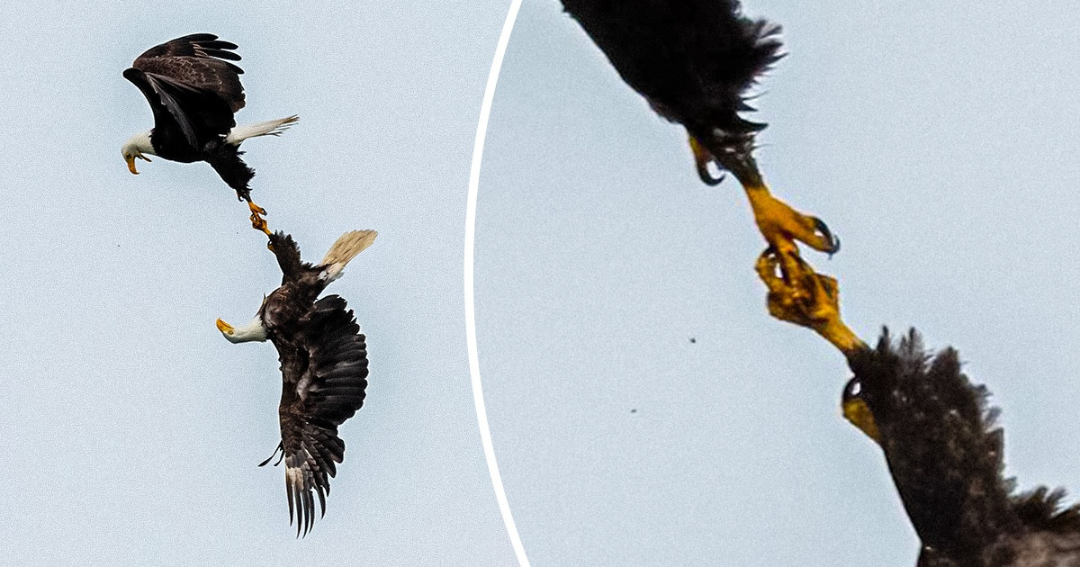 16 Photos Prove That the Wonders Around Us Are Real
