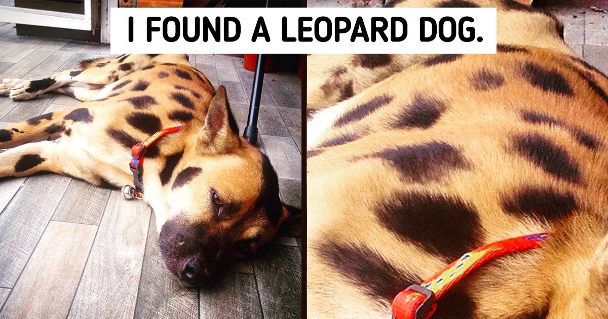 17 Times People Came Across Something Extremely Rare