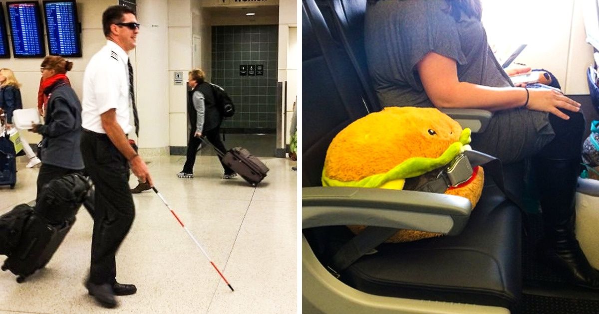 20 People Who Expected a Calm Trip, but Everything Took a Crazy Turn