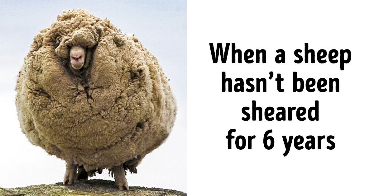 19 Rare Photos You Need to See at Least Once in Your Life 19 Rare Photos You Need to See at Least Once in Your Life