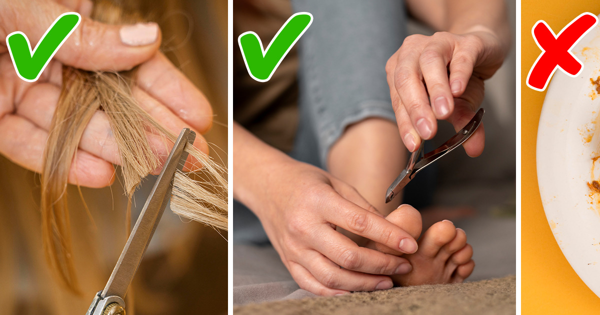 10 Surprising Things You Can Compost (and 10 You Shouldn’t) 10 Surprising Things You Can Compost (and 10 You Shouldn’t)