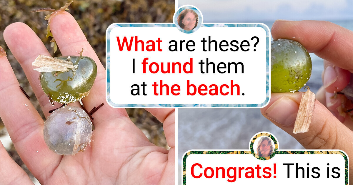12 Unusual Discoveries That Will Make You Rethink Reality