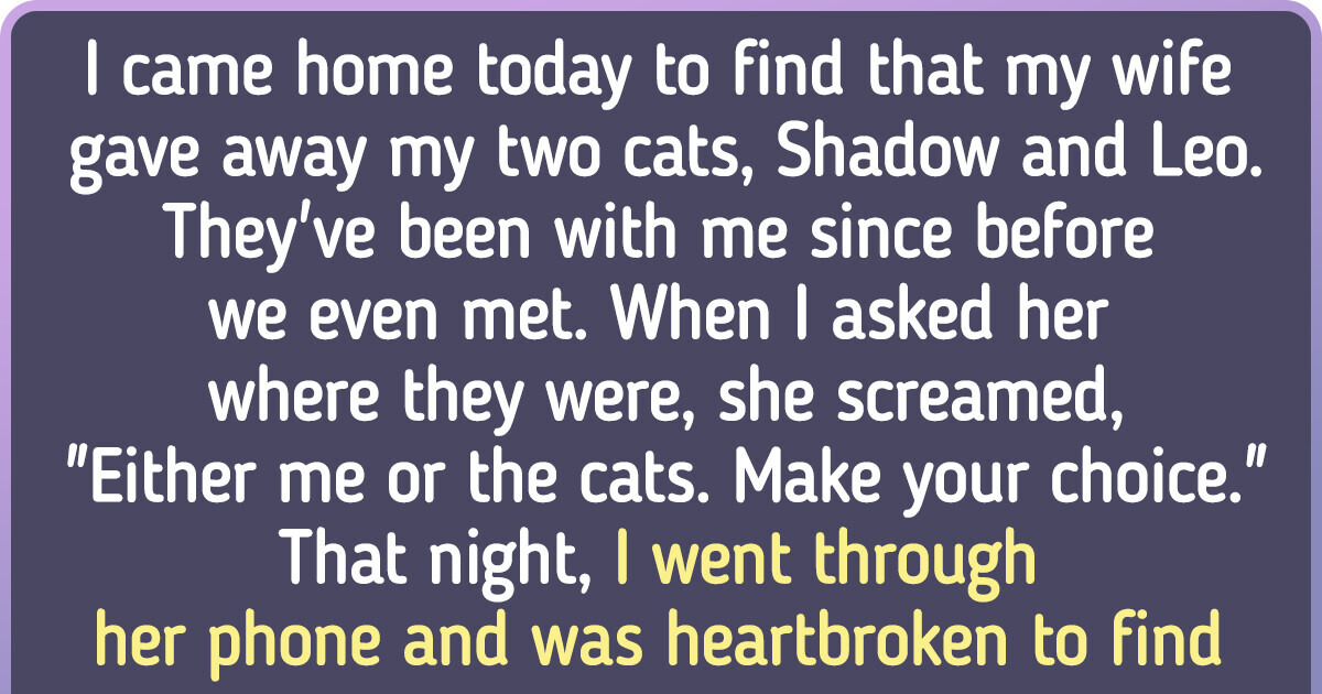 She Got Rid of My Cats Without Telling Me, but What Came Next Crushed Me Into Pieces She Got Rid of My Cats Without Telling Me, but What Came Next Crushed Me Into Pieces