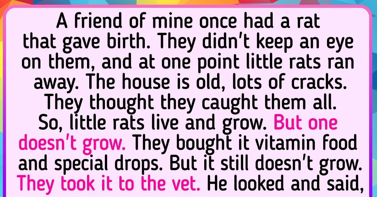 15+ Pet Stories That Animal Lovers Can Perfectly Understand