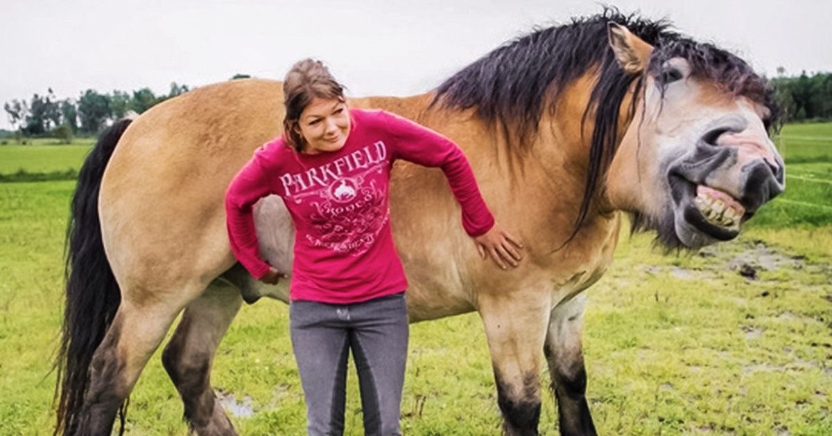 18 Emotional Horses Whose Expressions Would Make Jim Carrey Proud