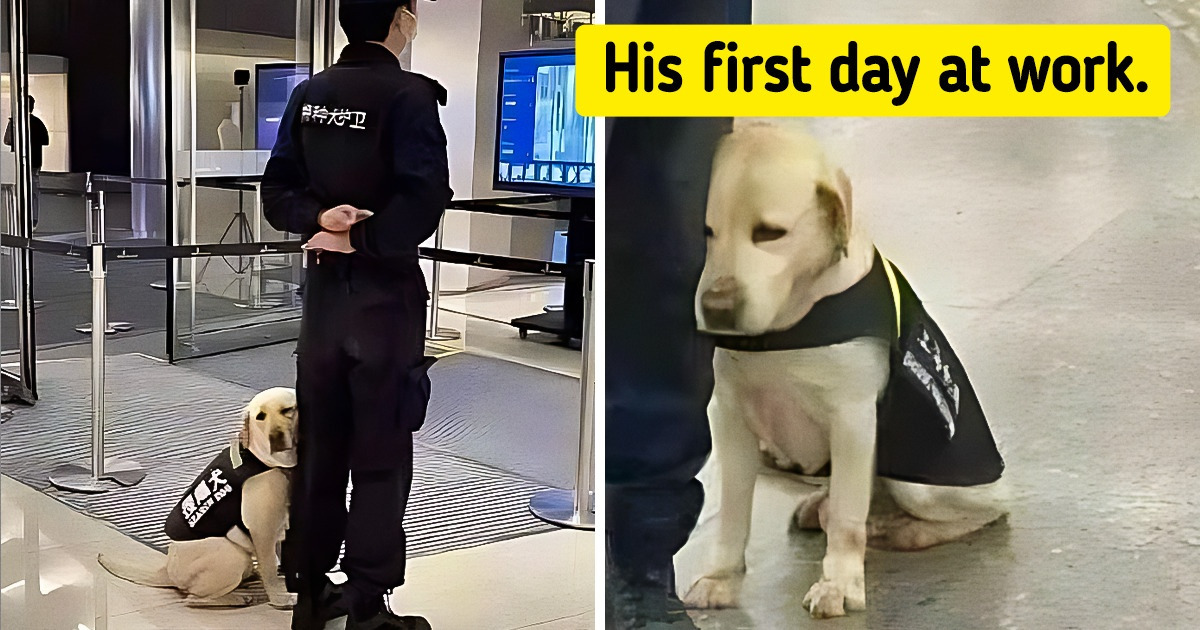 17 Moments That You Won’t Be Able to Forget 17 Moments That You Won’t Be Able to Forget