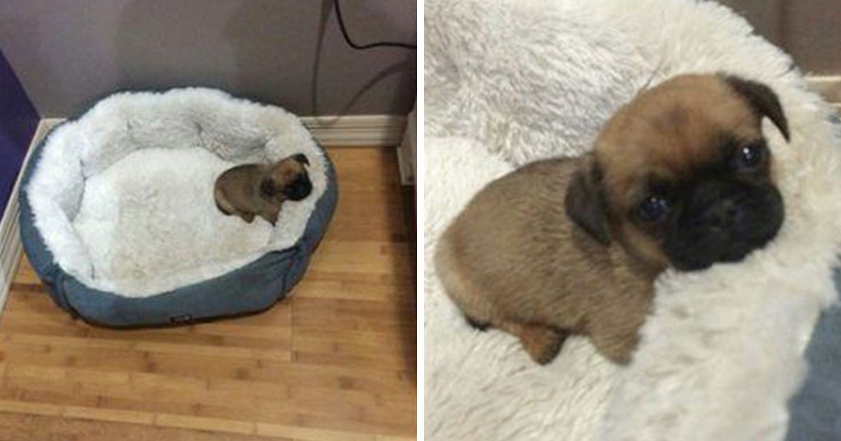 25 Photos That’ll Brighten Up Your Darkest Day 25 Photos That’ll Brighten Up Your Darkest Day