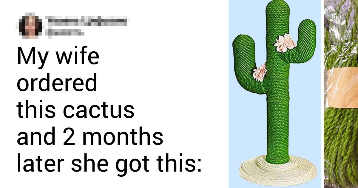 18 Times That Expectations Weren’t Even a Little Bit Worth It