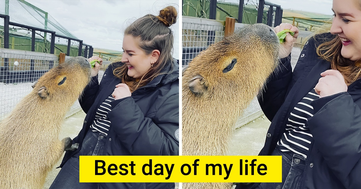 15+ Times Nature Decided to Shower Us With Joy