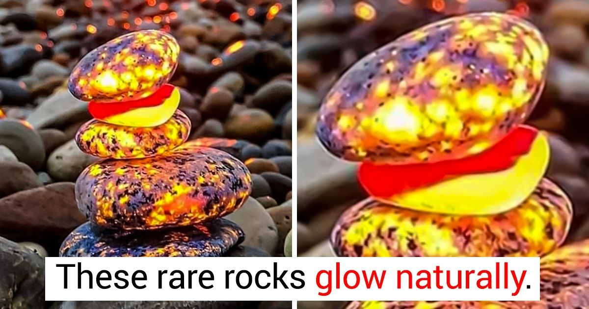 15 Times People Saw Something Truly Stunning