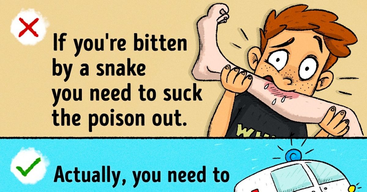 9 Survival Myths That Could Actually Hurt You 9 Survival Myths That Could Actually Hurt You
