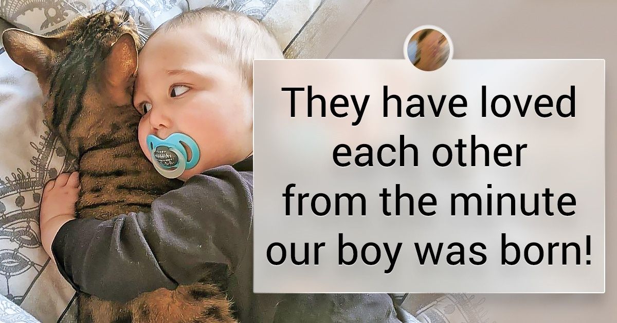 25 Pets Whose Best Friend Is the Youngest Member of the Family 25 Pets Whose Best Friend Is the Youngest Member of the Family