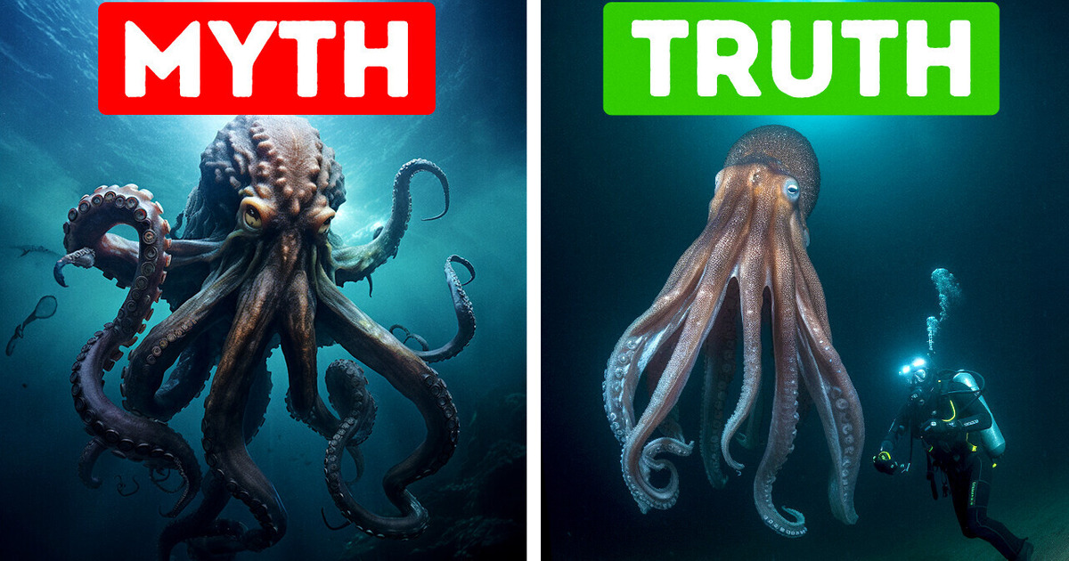 From Legend to Legacy: Surprising Truths Hidden in Historical Myths From Legend to Legacy: Surprising Truths Hidden in Historical Myths