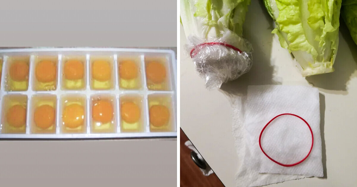 10 Tips to Keep Your Food Fresh Longer