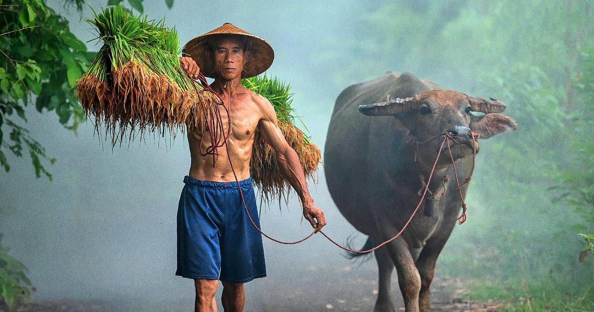 20+ Photos That Prove It’s Diversity That Makes Our Planet Truly Unique 20+ Photos That Prove It’s Diversity That Makes Our Planet Truly Unique