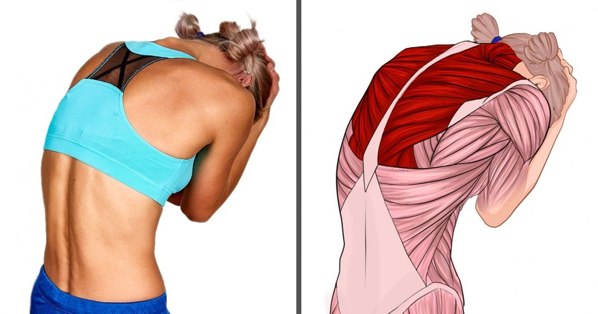 These 18 Pictures Will Show Which Muscles You Stretch