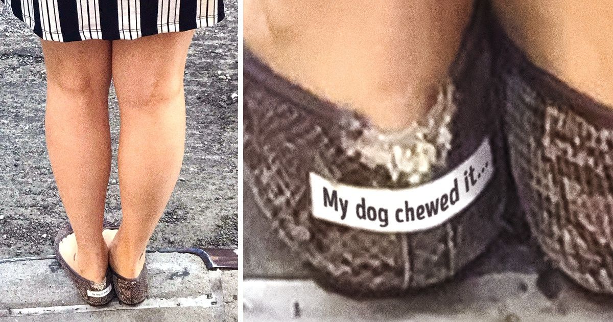 20 Pics That Perfectly Explain What Having a Pet Is All About 20 Pics That Perfectly Explain What Having a Pet Is All About