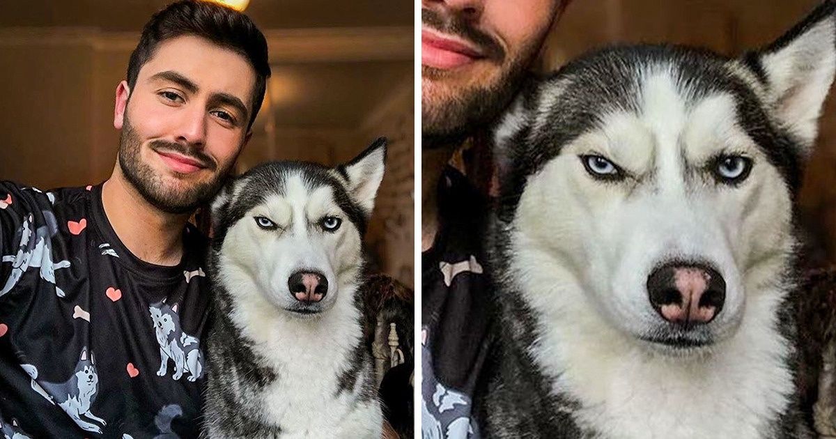 20 Dogs Whose Inborn Charisma Could Win Your Heart in Seconds
