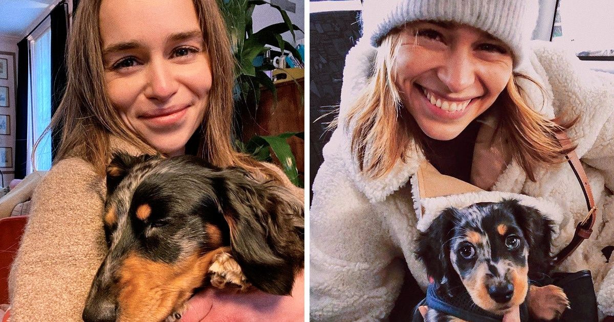 20 Lovely Pics of Celebrities and Their Pets That Can Disperse Any Gloomy Clouds 20 Lovely Pics of Celebrities and Their Pets That Can Disperse Any Gloomy Clouds