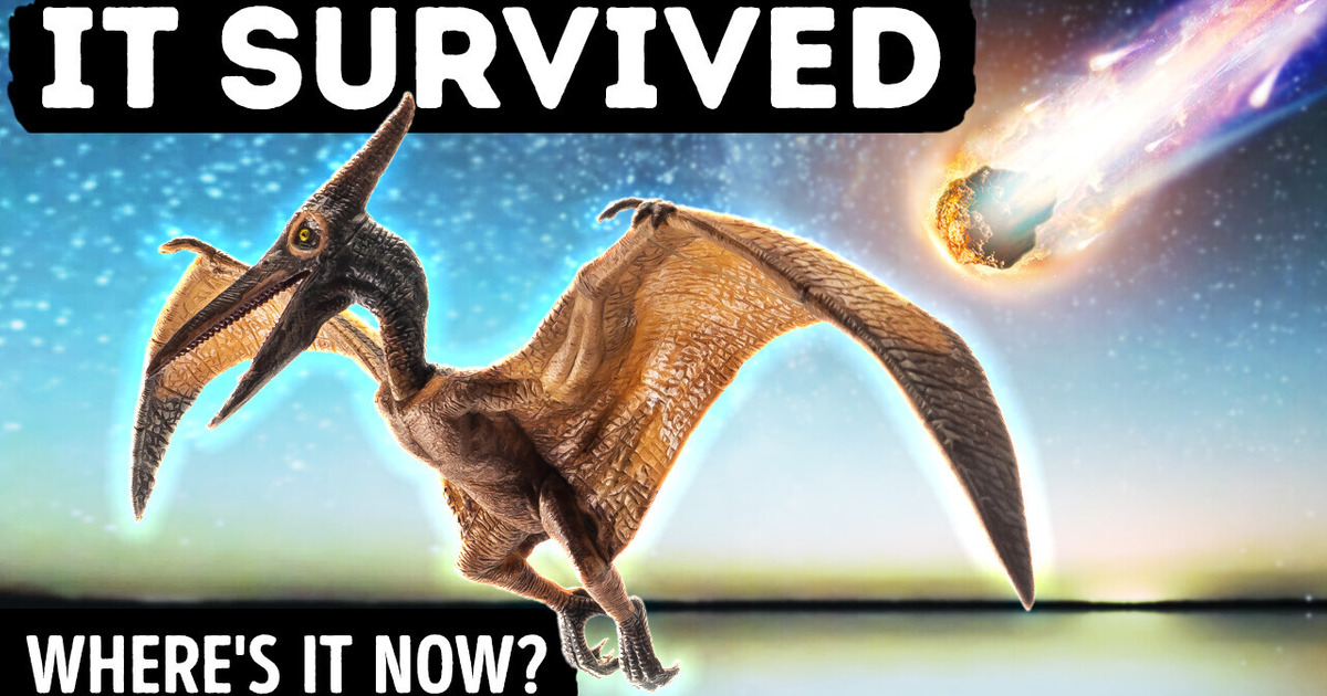 Flying Dinosaurs Survived, Here’s Where They Are Gone Flying Dinosaurs Survived, Here’s Where They Are Gone
