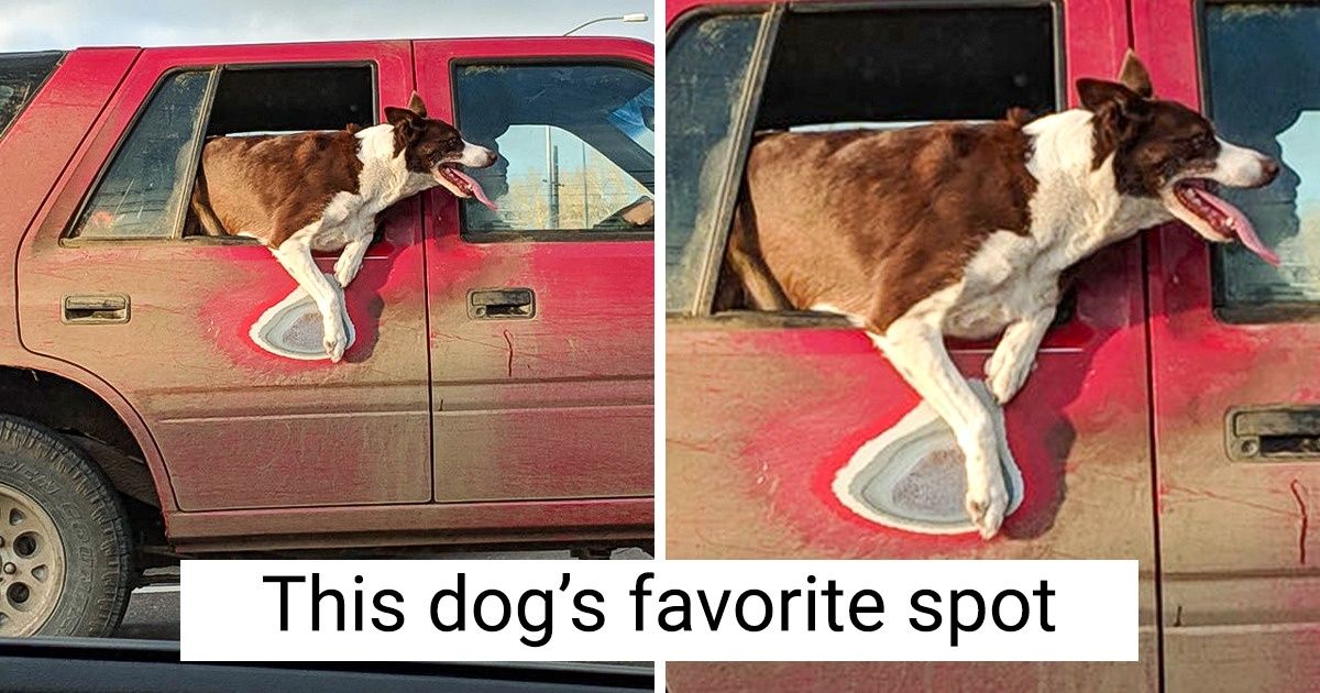 19 Spellbinding Photos That Make Time a Visible Thing