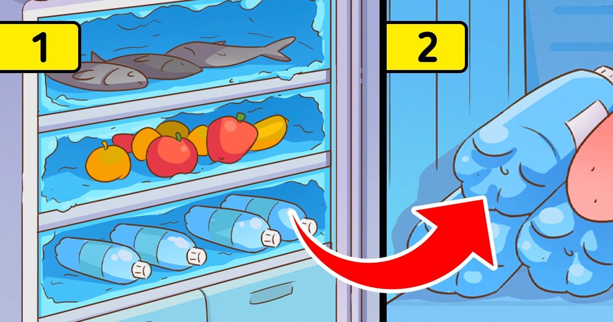 7 Tricks to Keep Your Food Fresh for Longer During the Next Power Outage