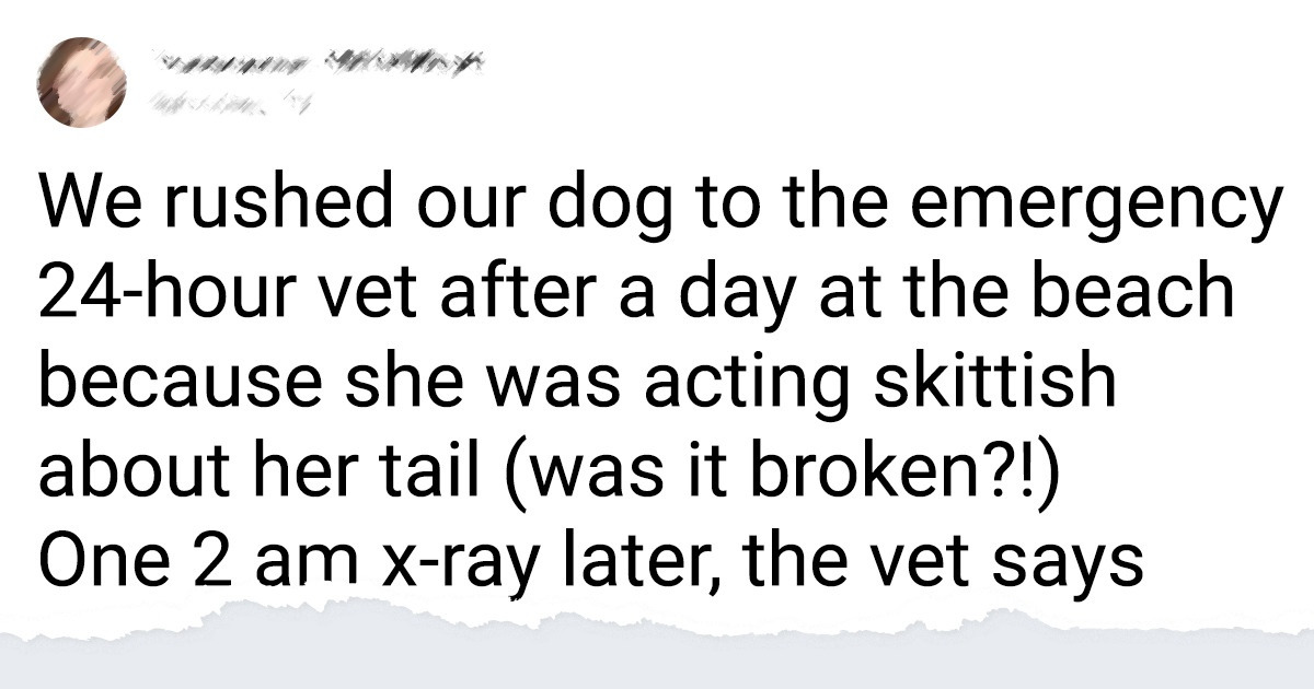 15 People Whose Stories Could Win the “Best Punchline Ever” Award