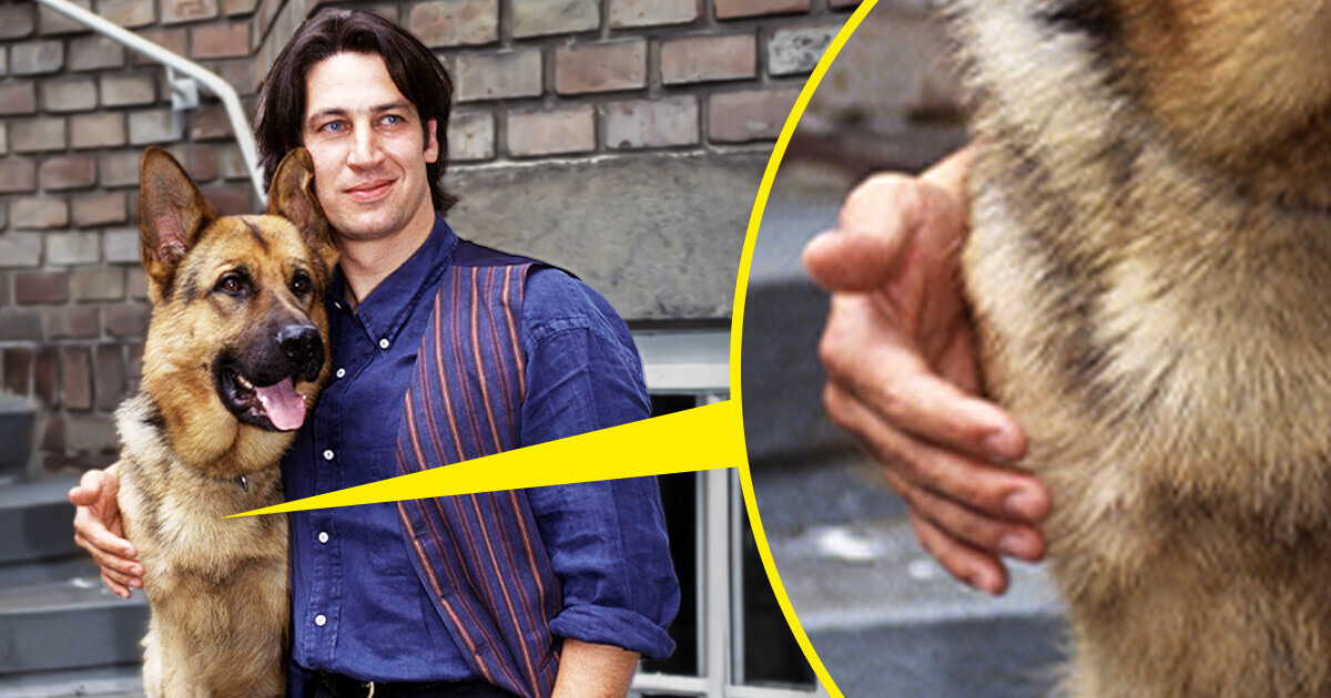20+ Facts About “Inspector Rex” That Won Our Hearts 30 Years Ago 20+ Facts About “Inspector Rex” That Won Our Hearts 30 Years Ago
