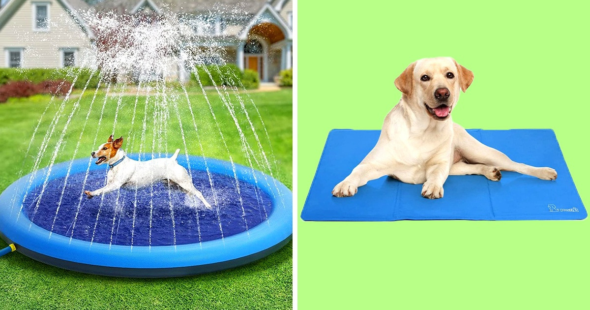15 Amazon Products to Keep Your Fur Baby Cool This Summer