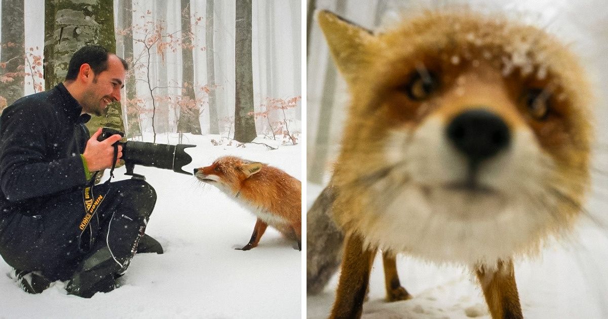 17 Times Nature Photographers Went the Extra Mile to Take the Perfect Shot
