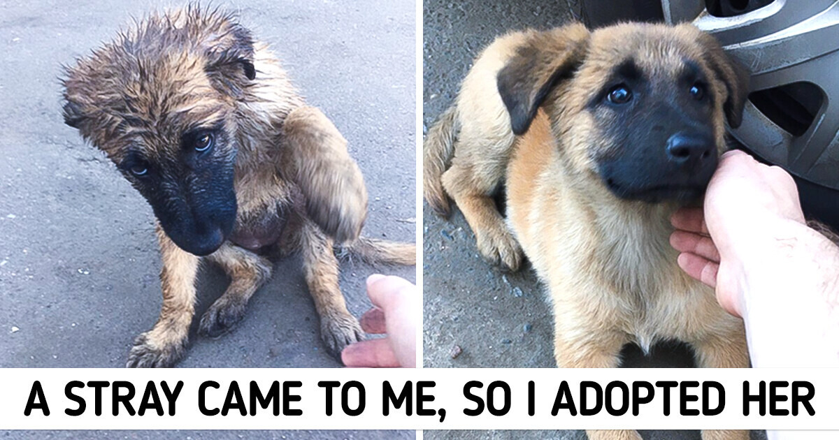 20+ Pics Remind You That Smiling Cost Less Than a Dime